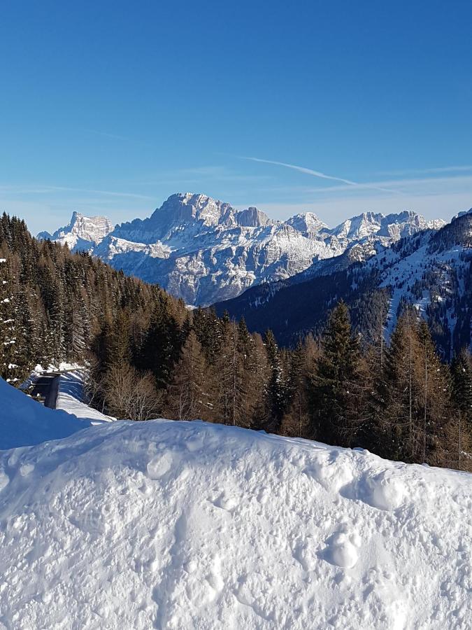 Appartamento La Casa degli Gnomi Falcade Esterno foto