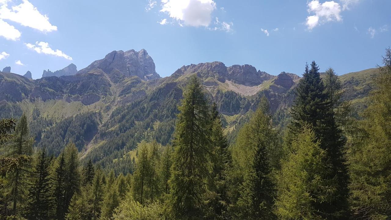 Appartamento La Casa degli Gnomi Falcade Esterno foto