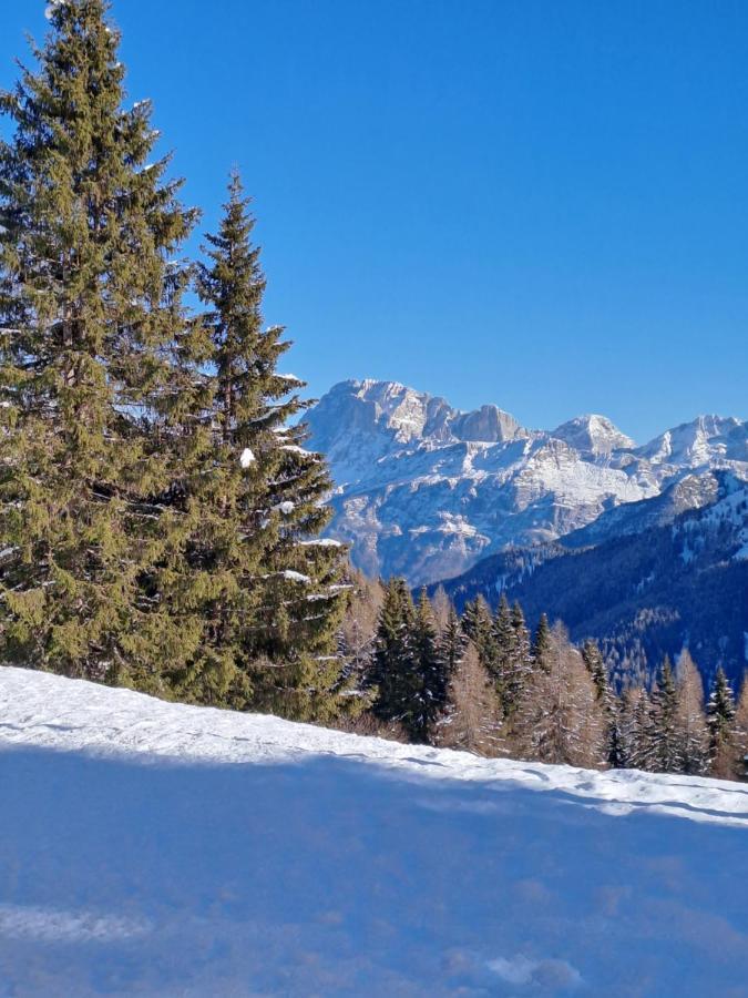 Appartamento La Casa degli Gnomi Falcade Esterno foto